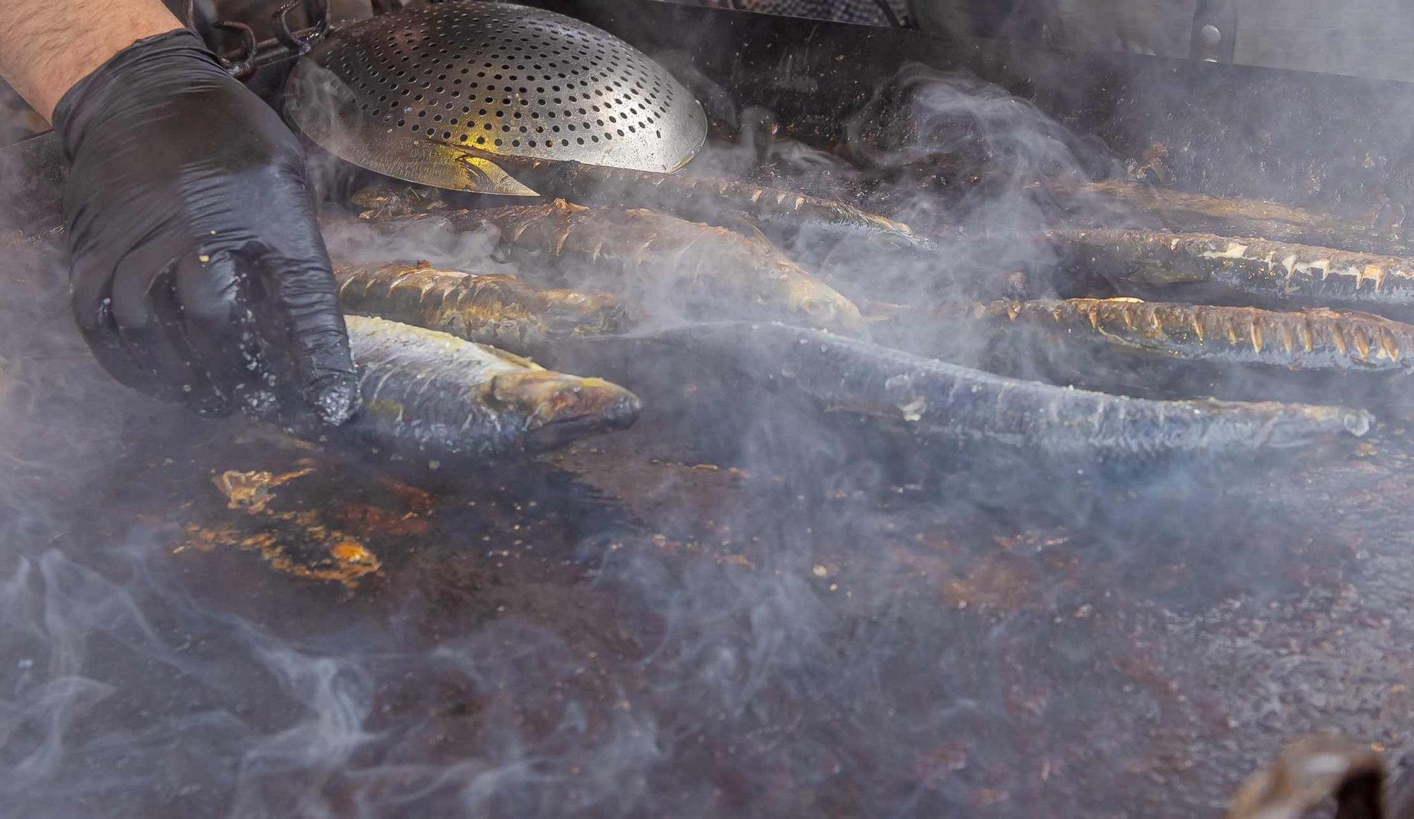 Distracție de 260.000 de lei la „Festivalul Scrumbiei Dunărene”