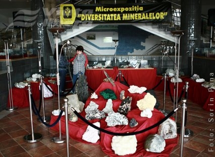 Florile Floriilor, în expoziţie inedită