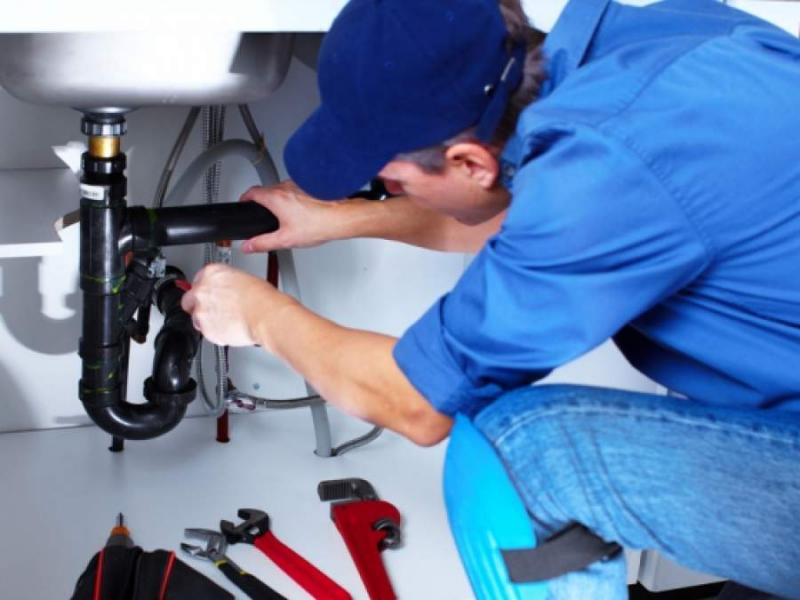 Tichete, în loc de bani, pentru prestatorii casnici