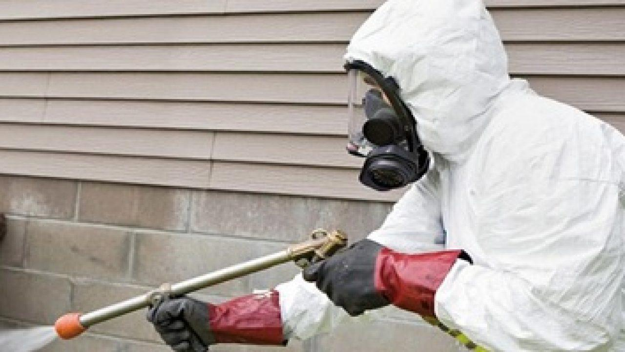 Verificări la firmele gălăţene de dezinsecţie şi deratizare, în urma tragediei de la Timişoara