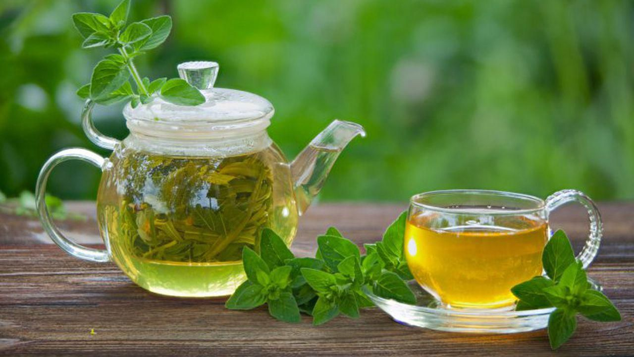 Plante care te ajută să respiri mai bine. Acțiune benefică pentru plămâni