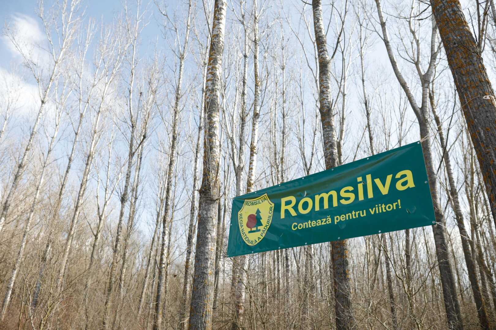 Control devastator la Romsilva. Raport trimis Parchetului General