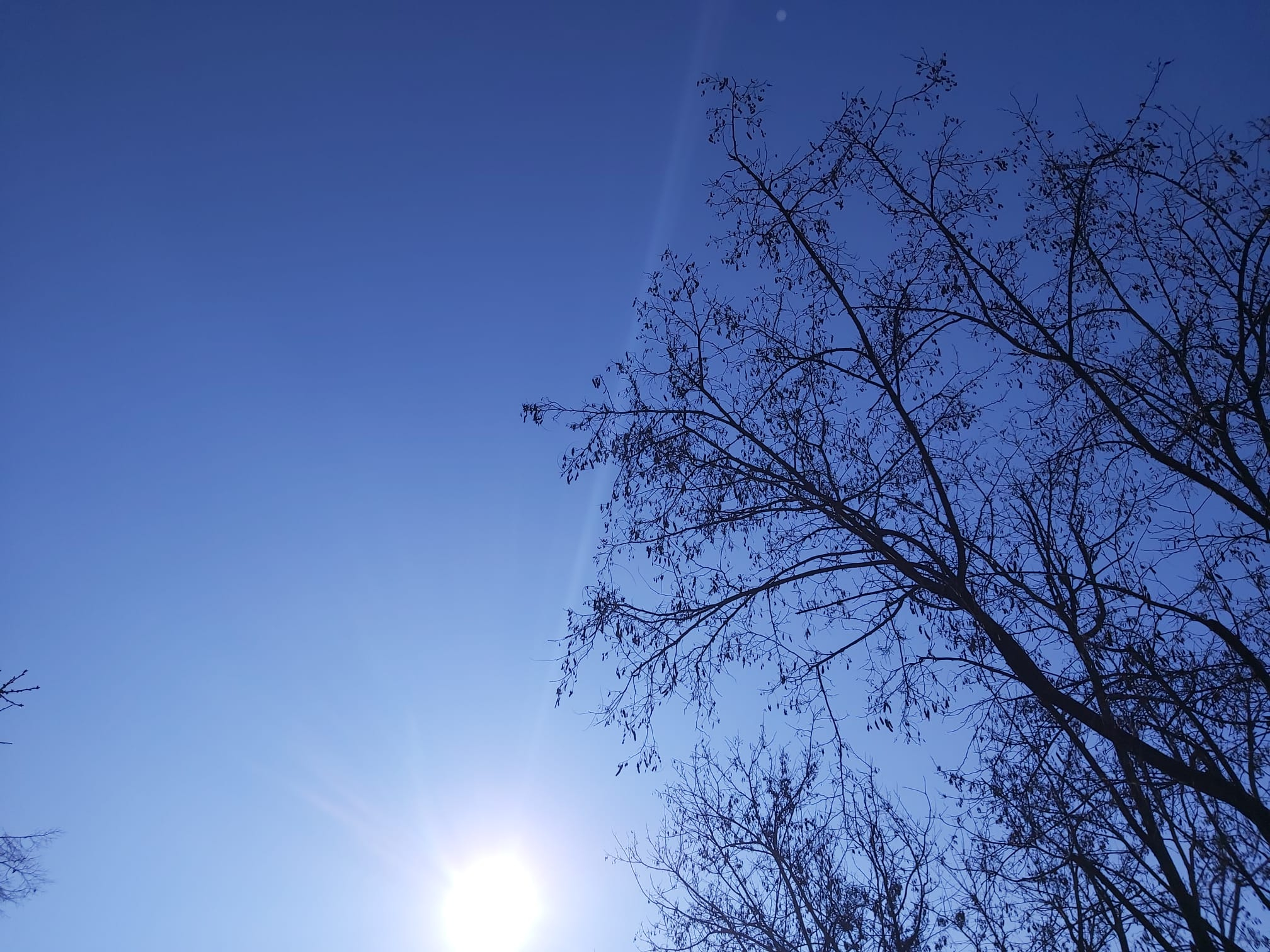 Meteo 25 februarie 2025