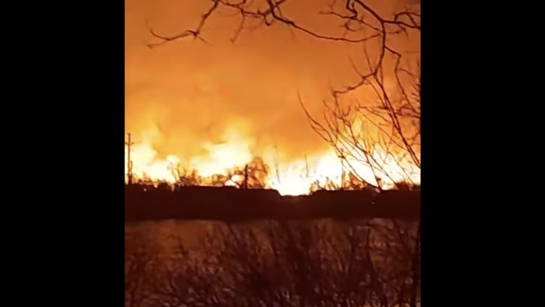 Incendiu puternic de vegetație în Rezervația Deltei Dunării