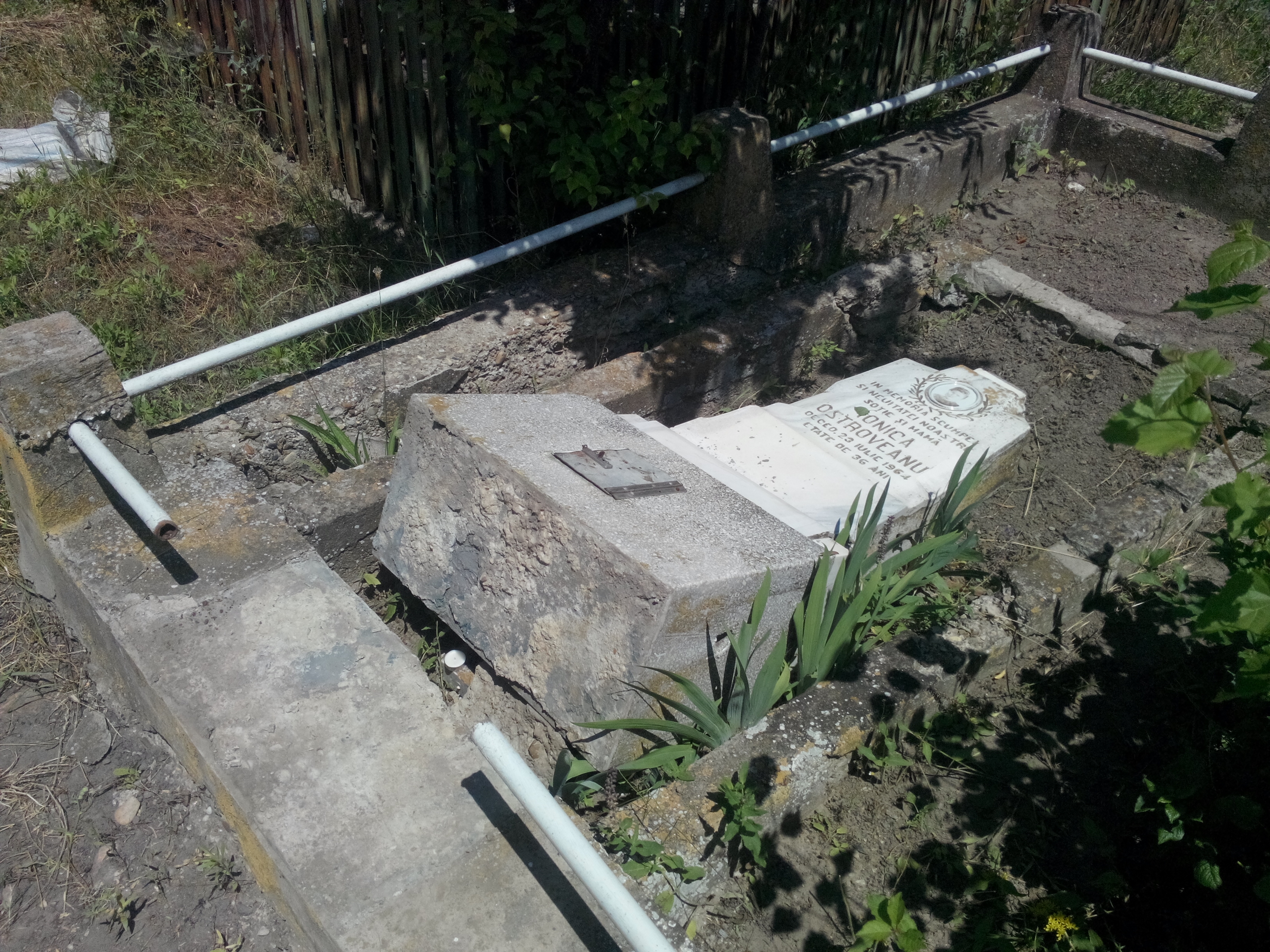 CIMITIR călcat de vandali. MORMINTE lăsate FĂRĂ cruci şi pietre funerare (FOTO)