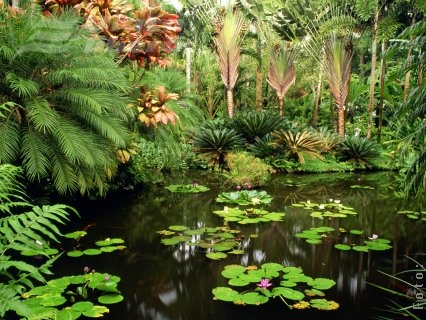 Bolile pot transforma vacanţa în coşmar