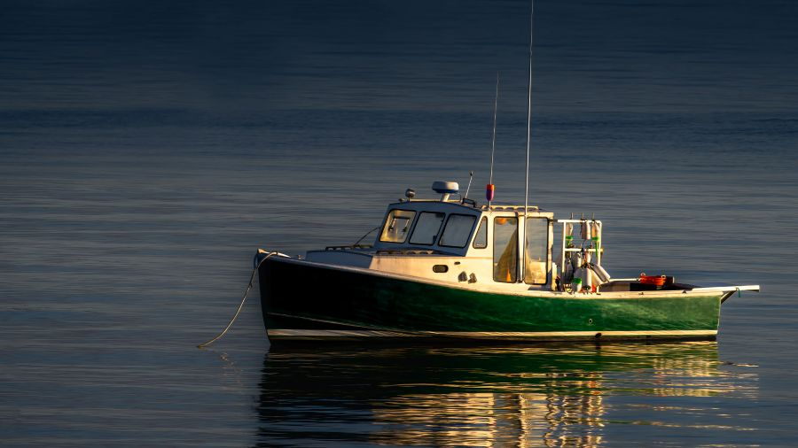 Cum funcționează un sonar de pescuit și ce informații oferă?