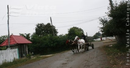 Săraci, dar mândri! 