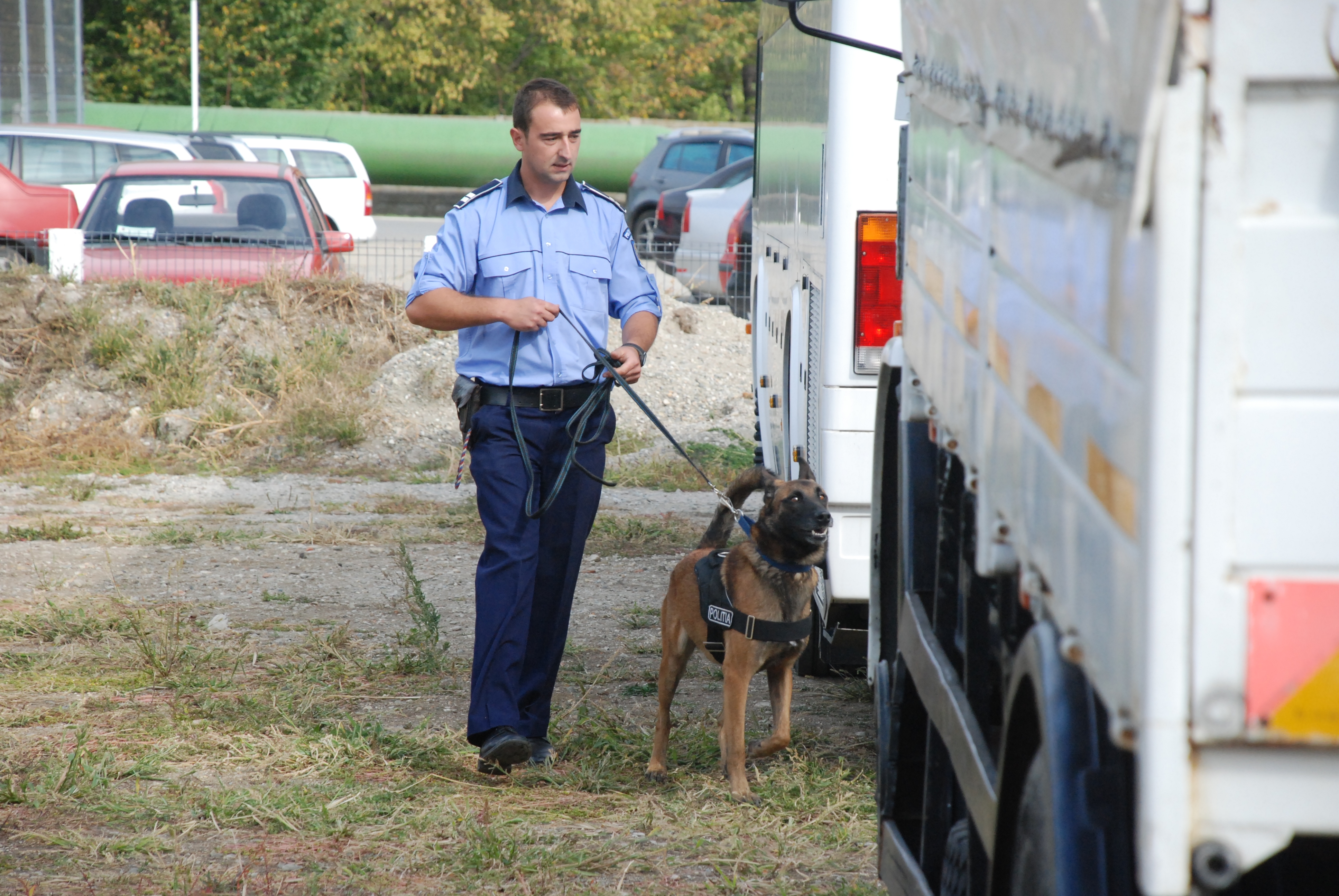 Un „poliţist cu blană” din Galaţi, în elita detectorilor de tutun