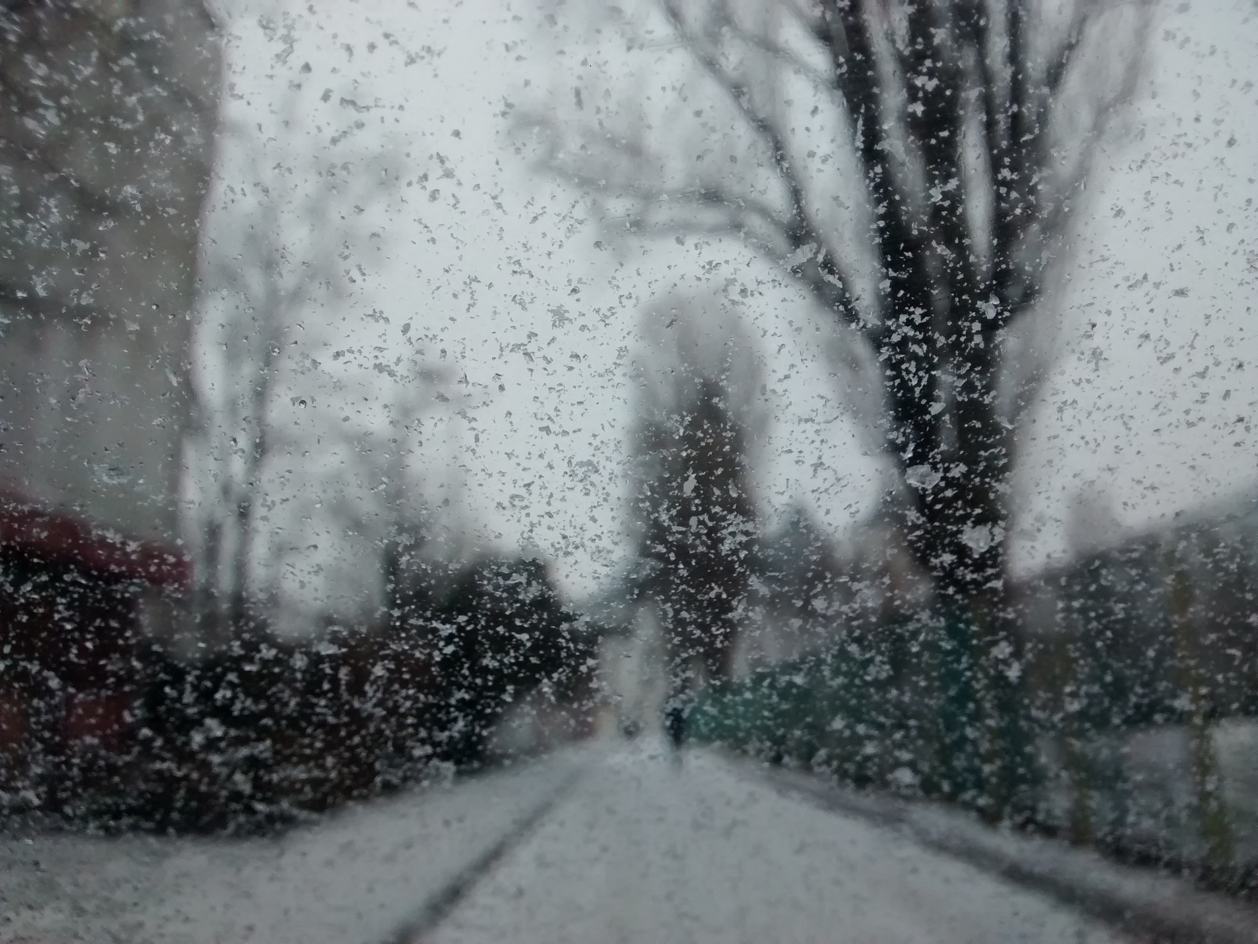 Cod galben de vânt și ninsori, în Galaţi şi alte 16 județe