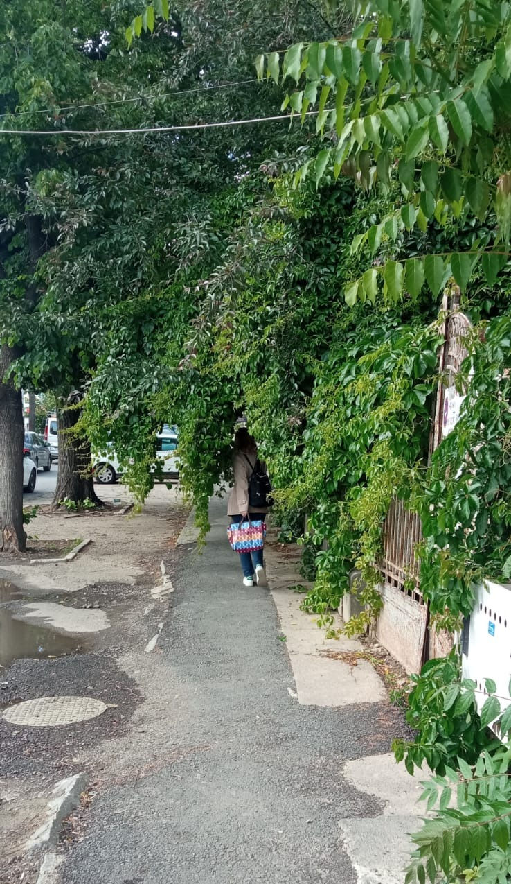 Poza zilei. Protest al naturii