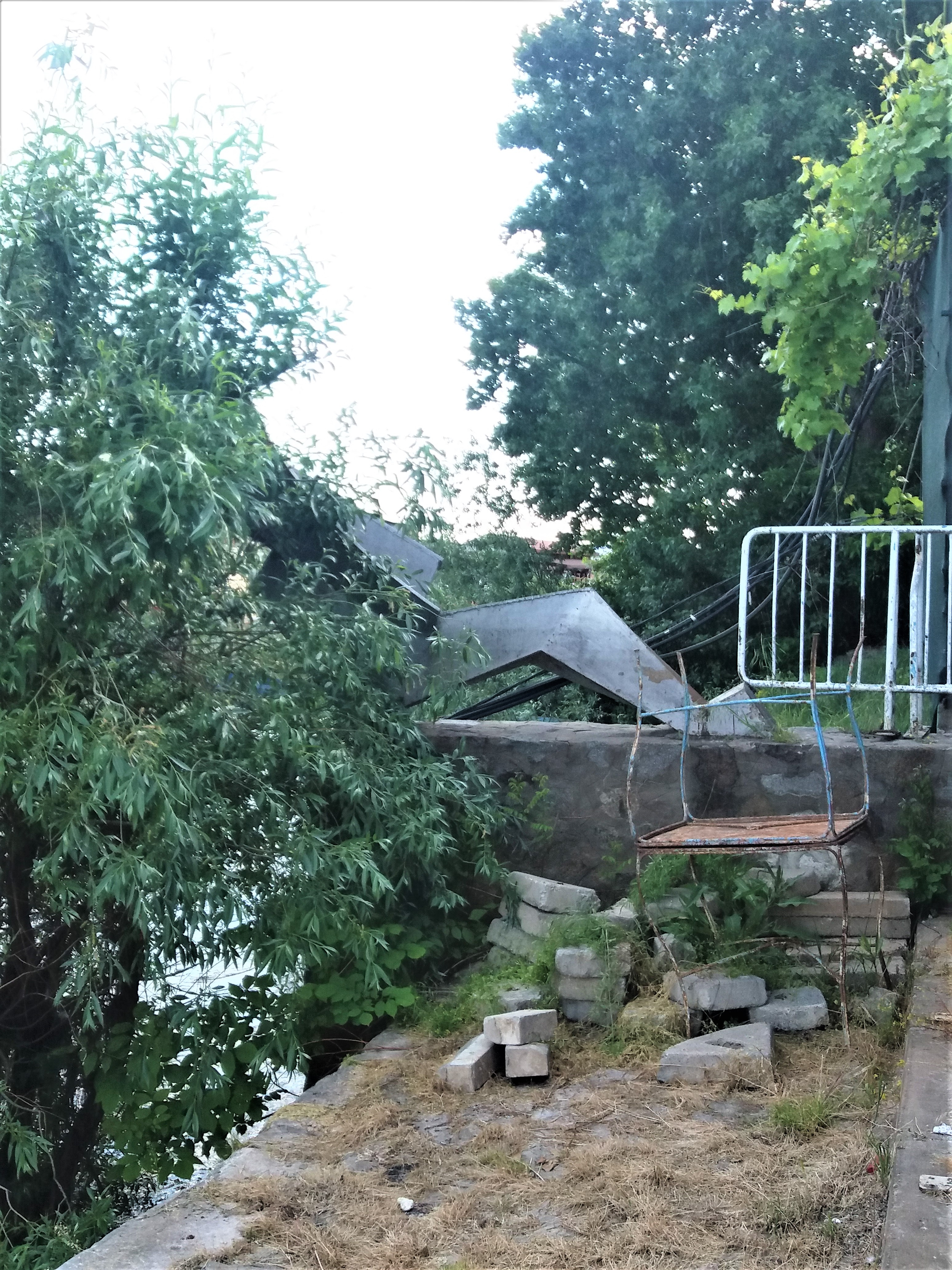 "Cazul Narcis" - mai are cineva nevoie de artă?