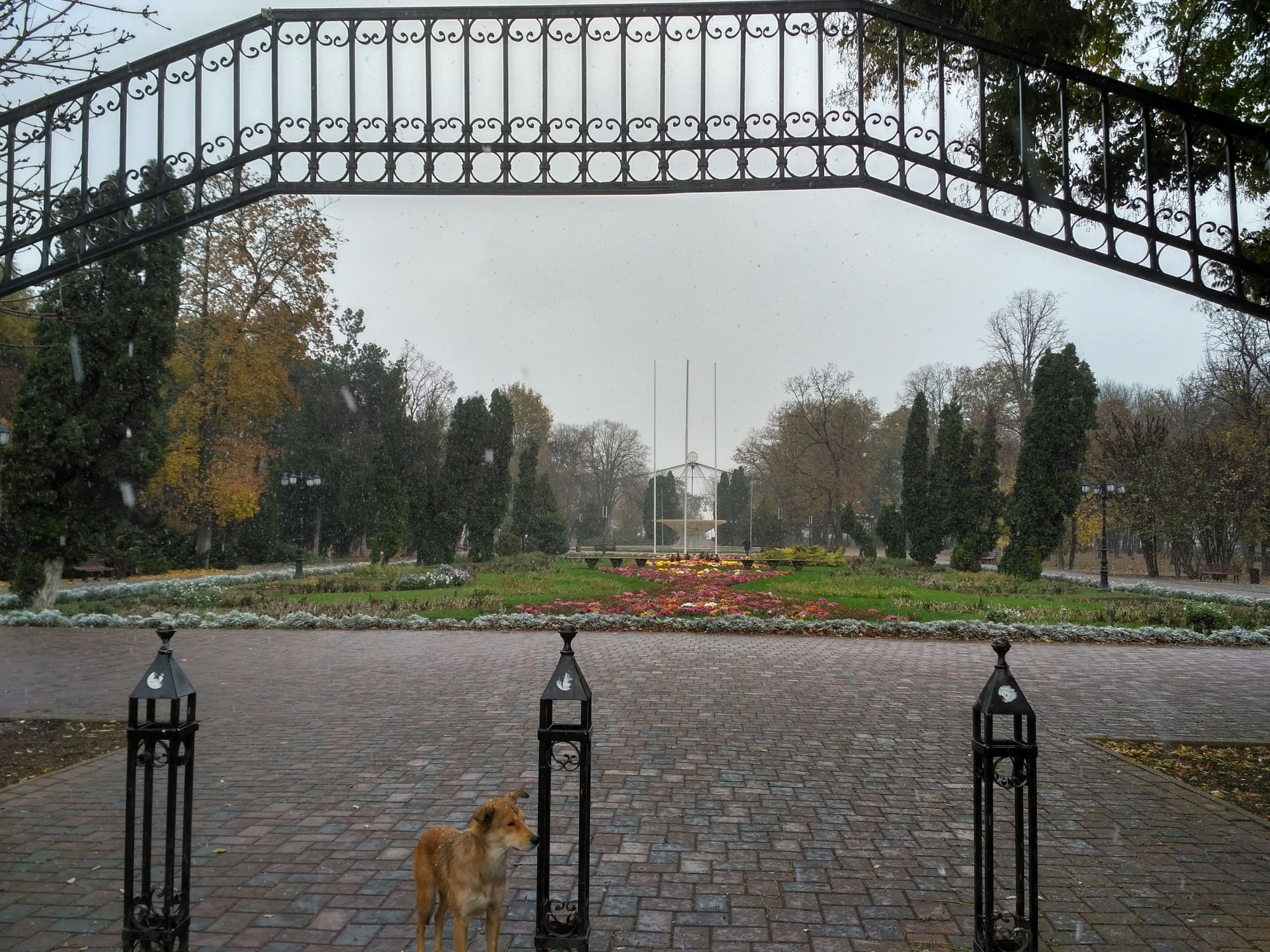 Licitaţie pentru un nou sistem de irigaţii în Grădina Publică din Galați. Contract de 800.000 de lei