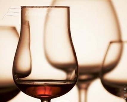 Brandy şi sânge, în Micro 13  