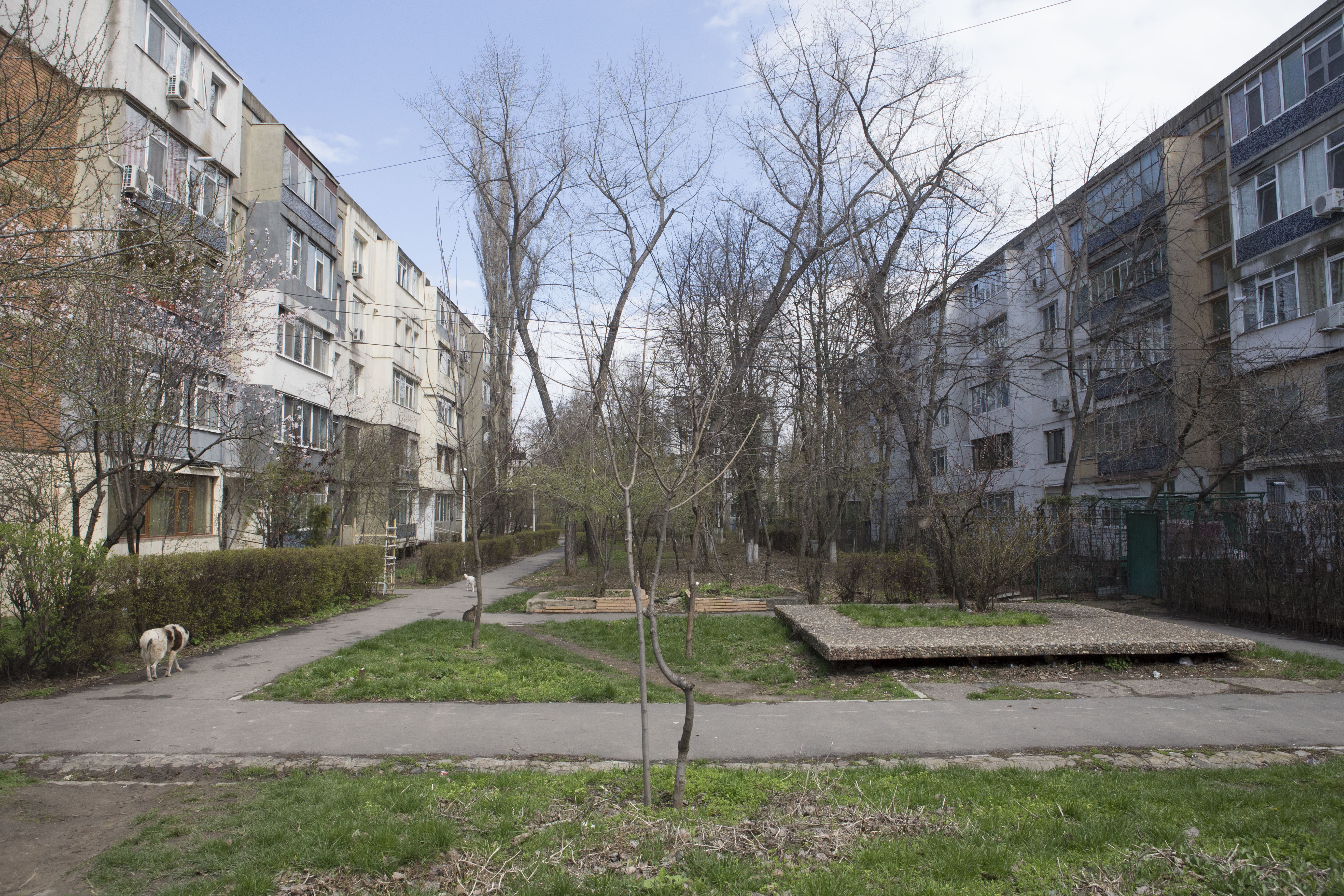 Proiect de regenerare urbană în Ţiglina III. Fără demolare şi FĂRĂ BANI PUBLICI!