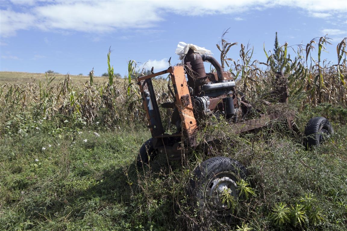 Estimarea pagubelor produse de inundaţii: Fermierii gălăţeni au pierdut 50 de milioane de euro