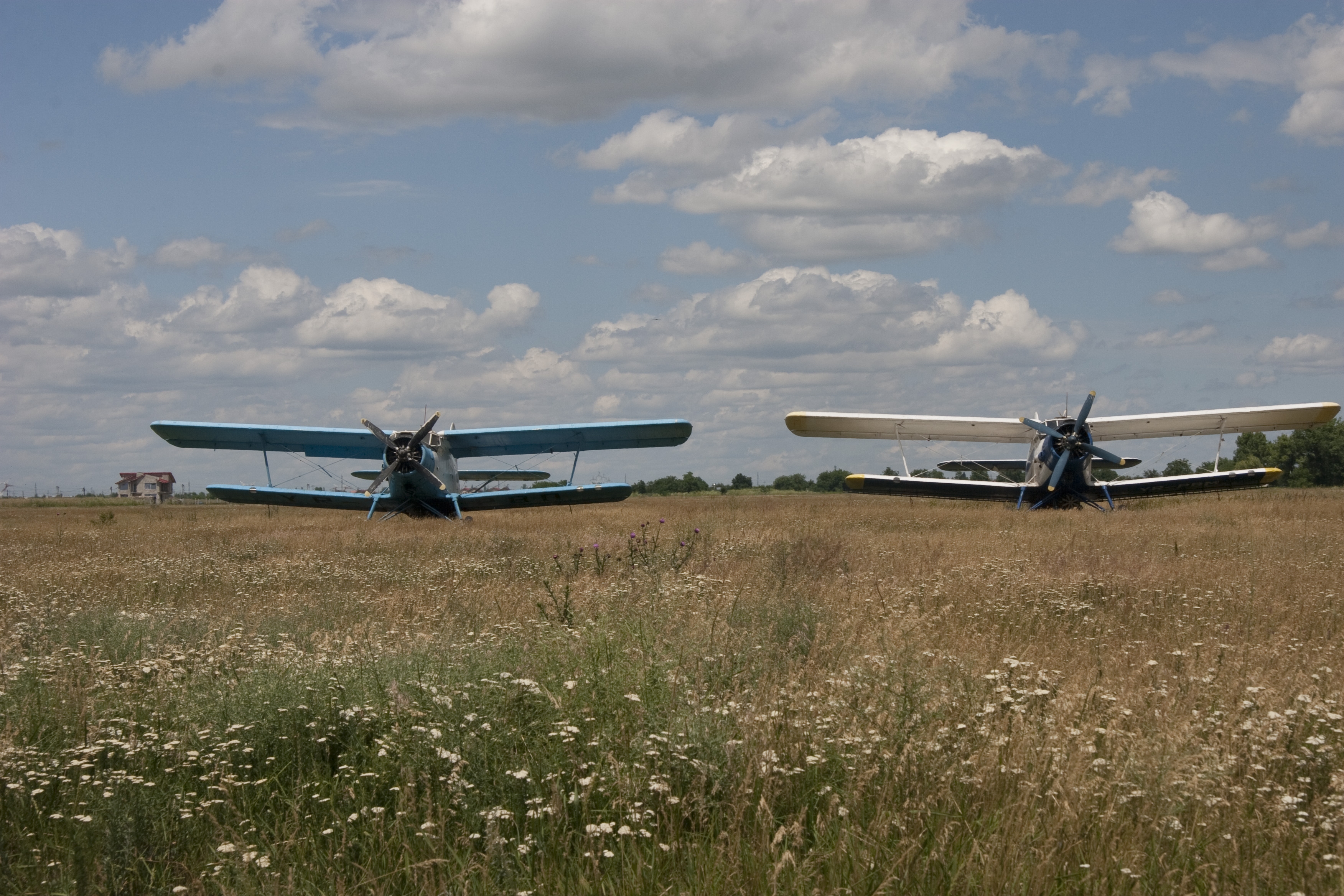 Pământul furat se întoarce la Stat: DNA cere confiscarea terenului de la Aviasan 