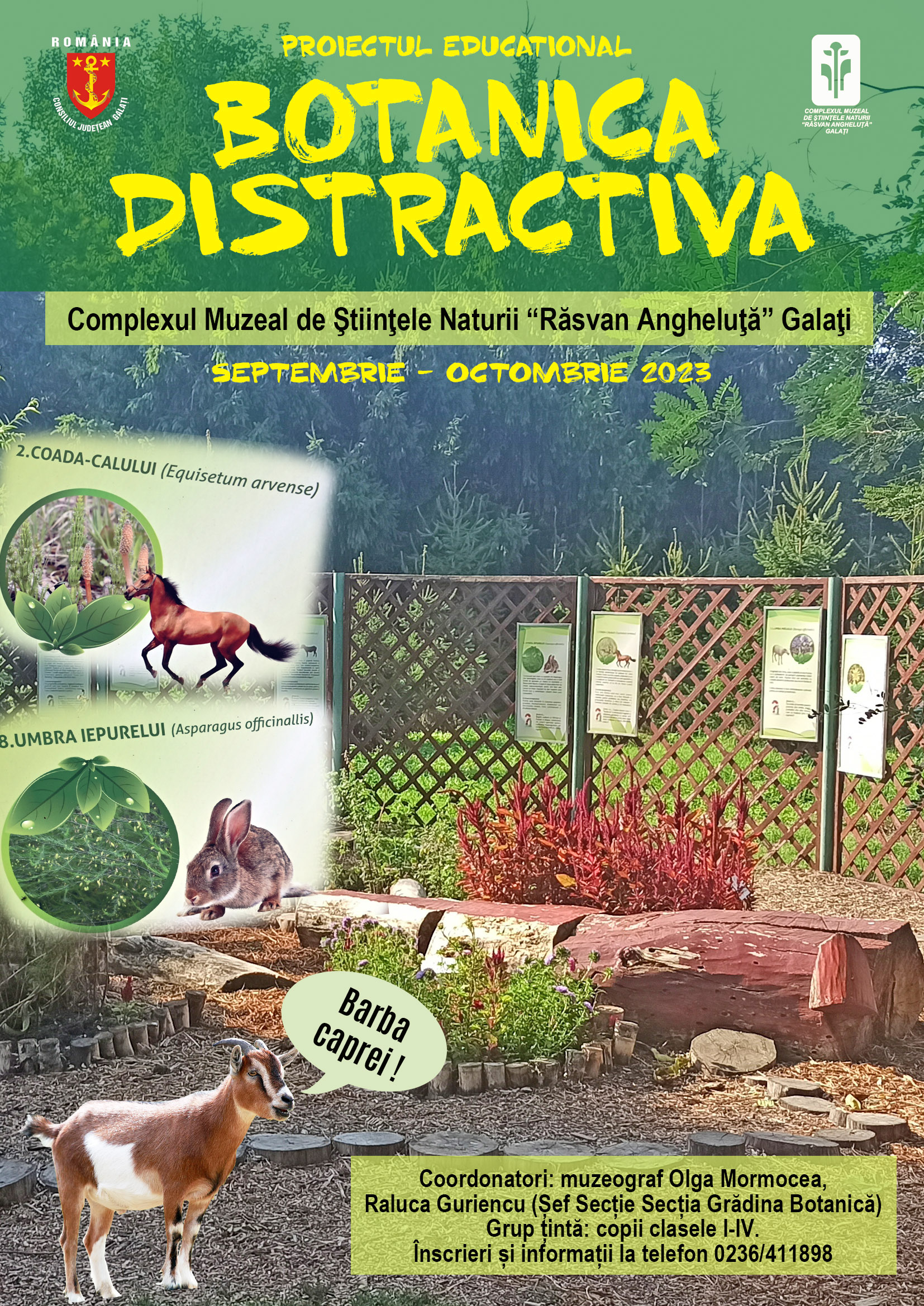 Botanică distractivă pentru cei mici