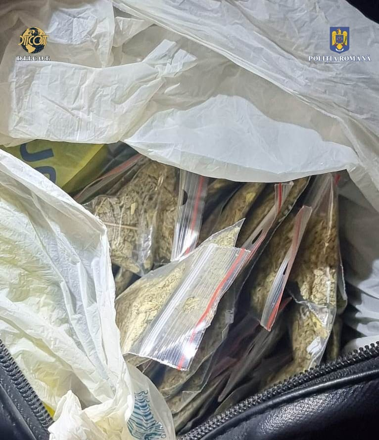 Traficanți din patru județe s-au unit ca să vândă droguri