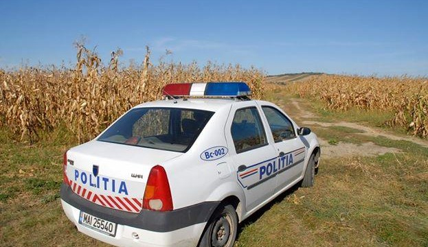 Tată și fiu, prinși la furat porumb