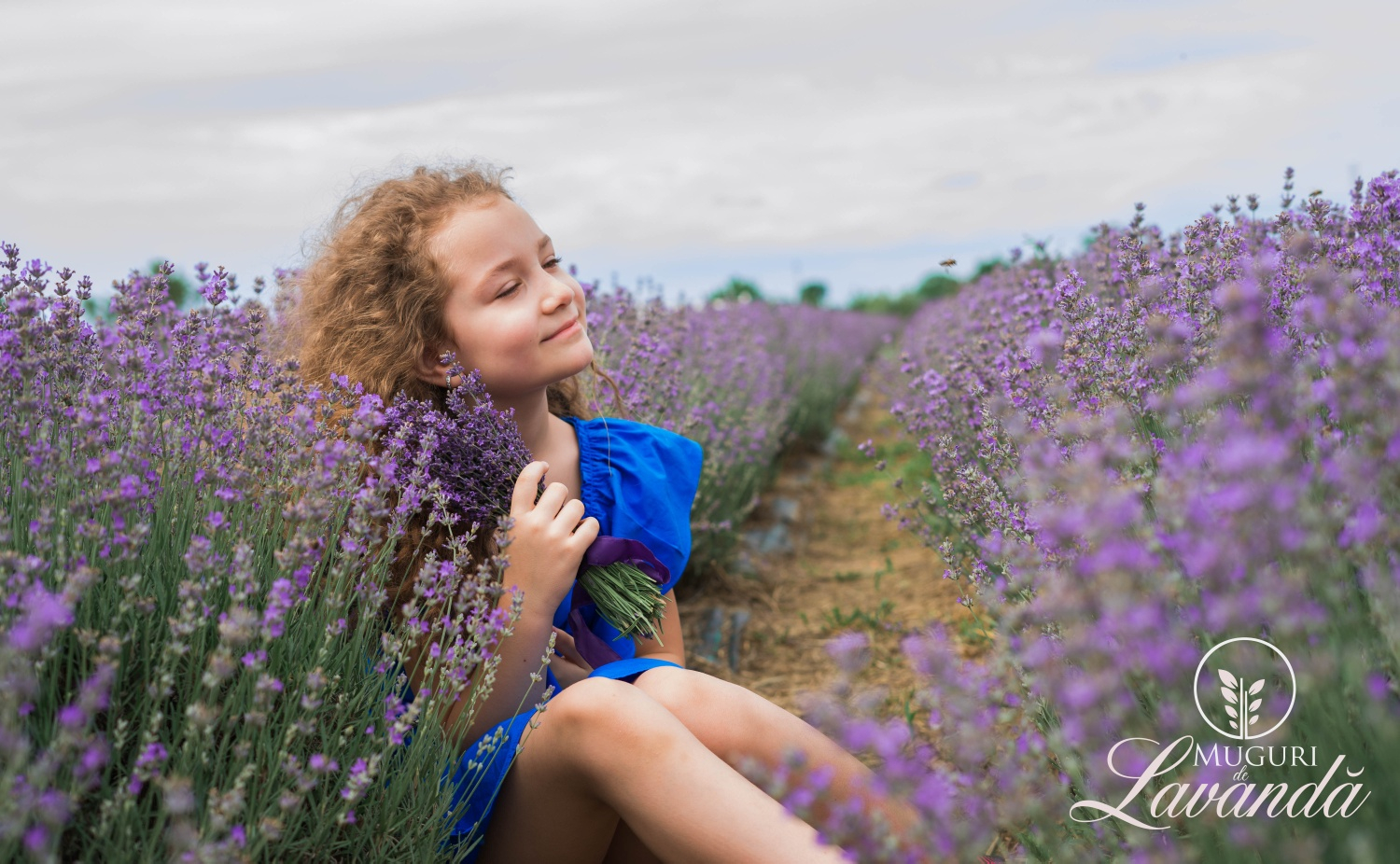 UPDATE Minifestivalul lavandei, cu târg şi ateliere pentru copii, reprogramat