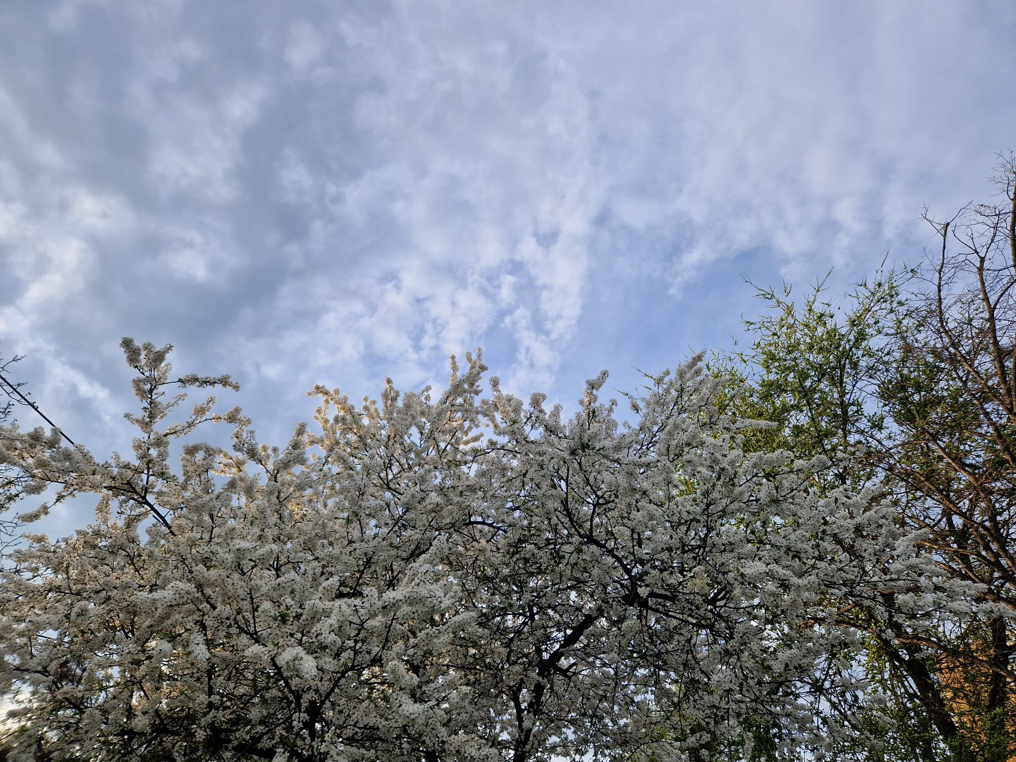 Cum va fi vremea miercuri, 22 aprilie