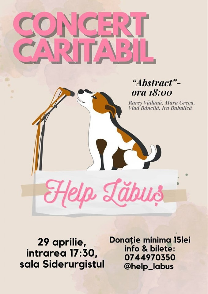 Concert caritabil pentru stoparea abandonului câinilor