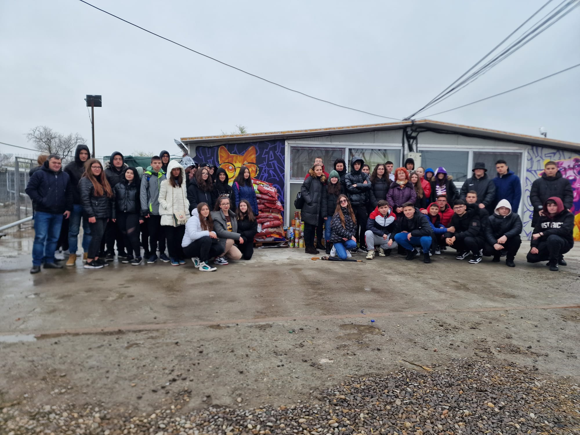 Tort și mâncare gustoasă pentru cățeii salvați de „Help Lăbuș” (FOTO)