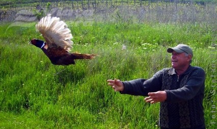 „Undă verde” la Vizureni pentru vânători