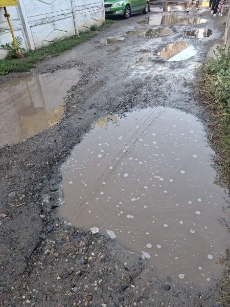 Poza zilei. Prin bălţi, către şcoală şi grădiniţă