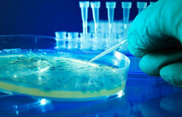 ALARMANT | Hepatita C face ravagii în România