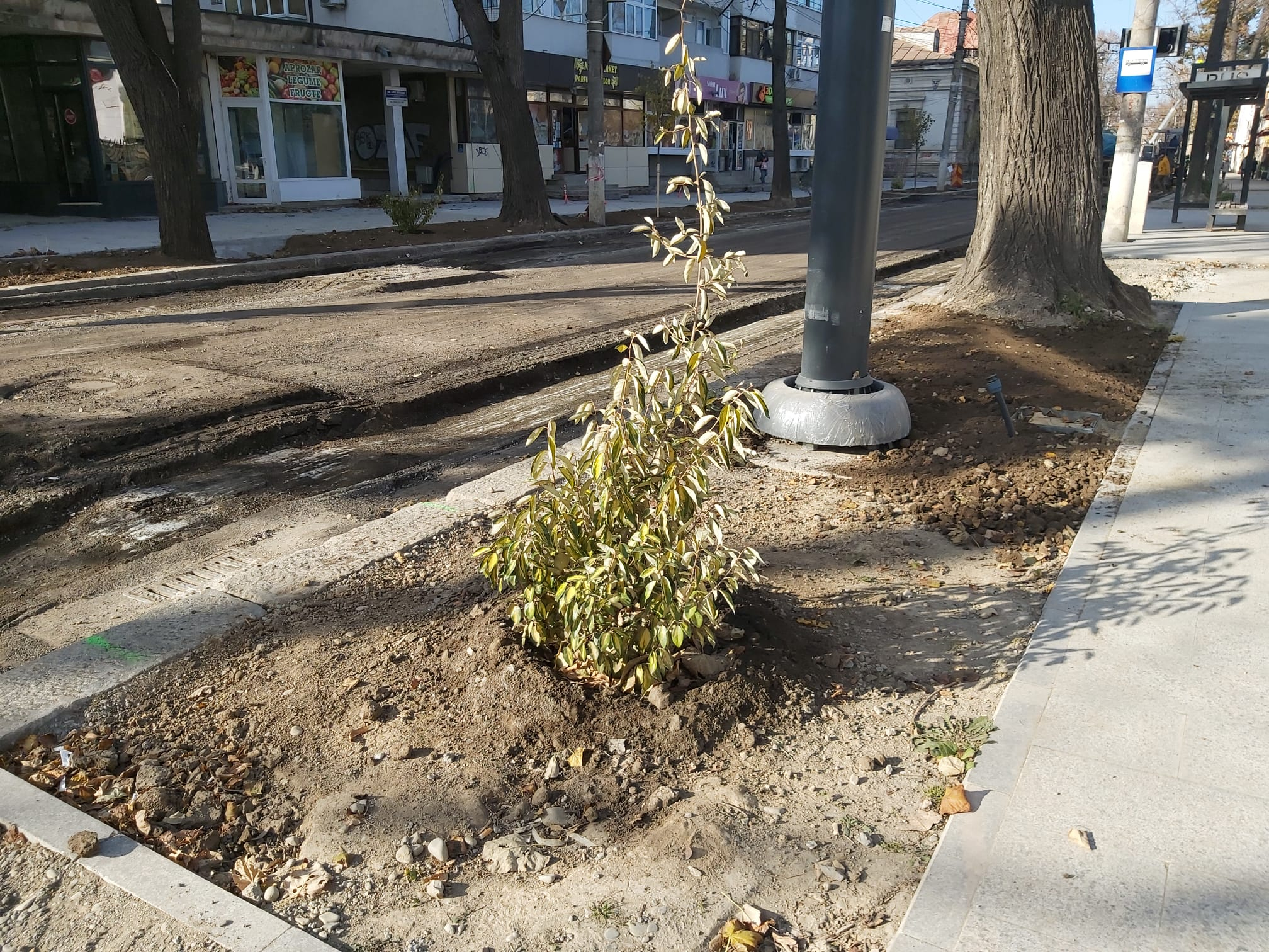 Şi ne mai minunăm că se usucă! Absurd de Galați