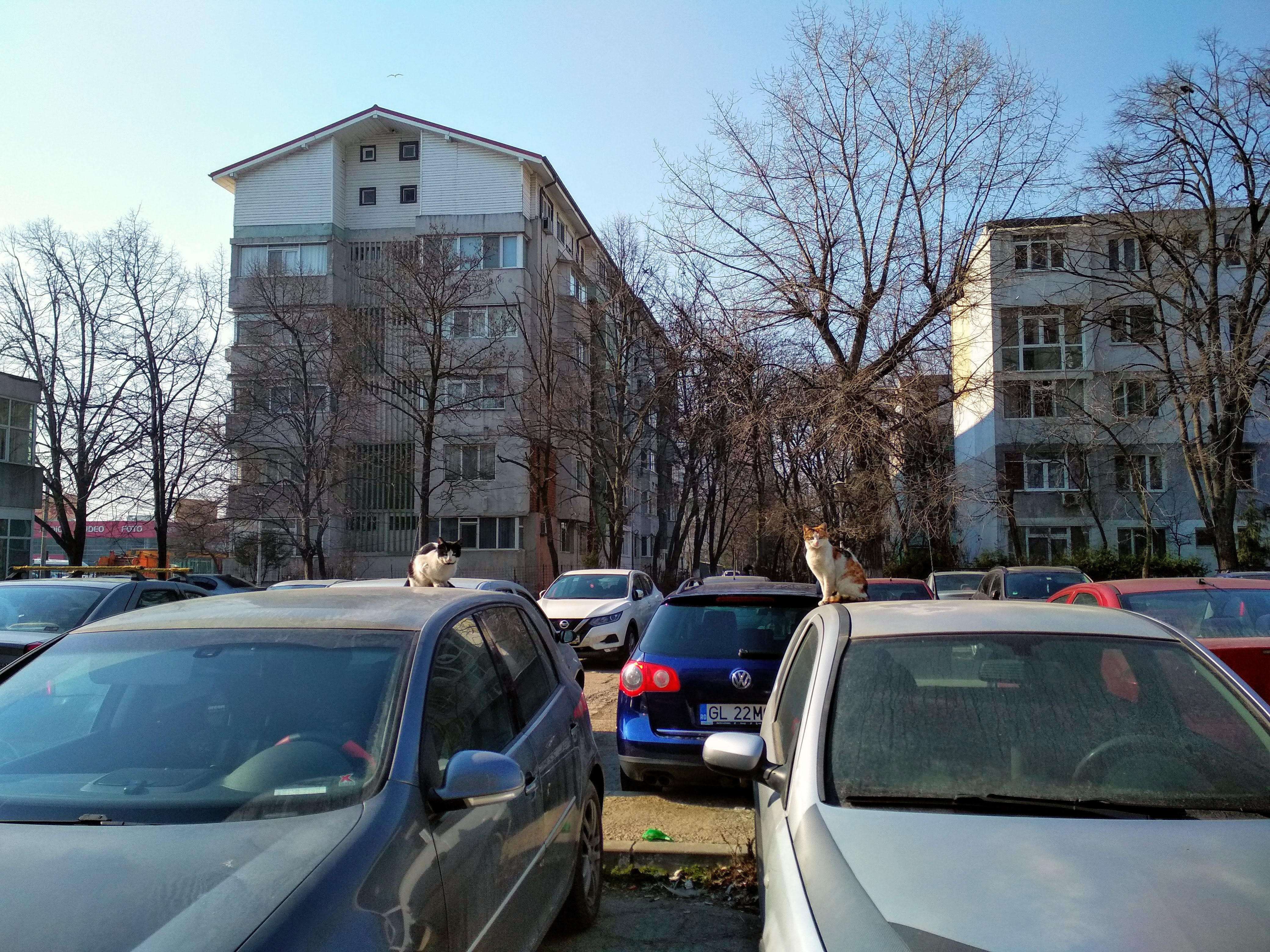 Calcule estimative: ce impozite vom plăti pentru autoturisme în 2026