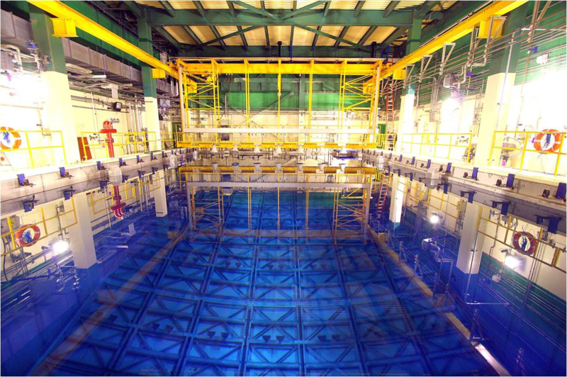 Centrala de la Cernavodă ar putea produce cobalt-60