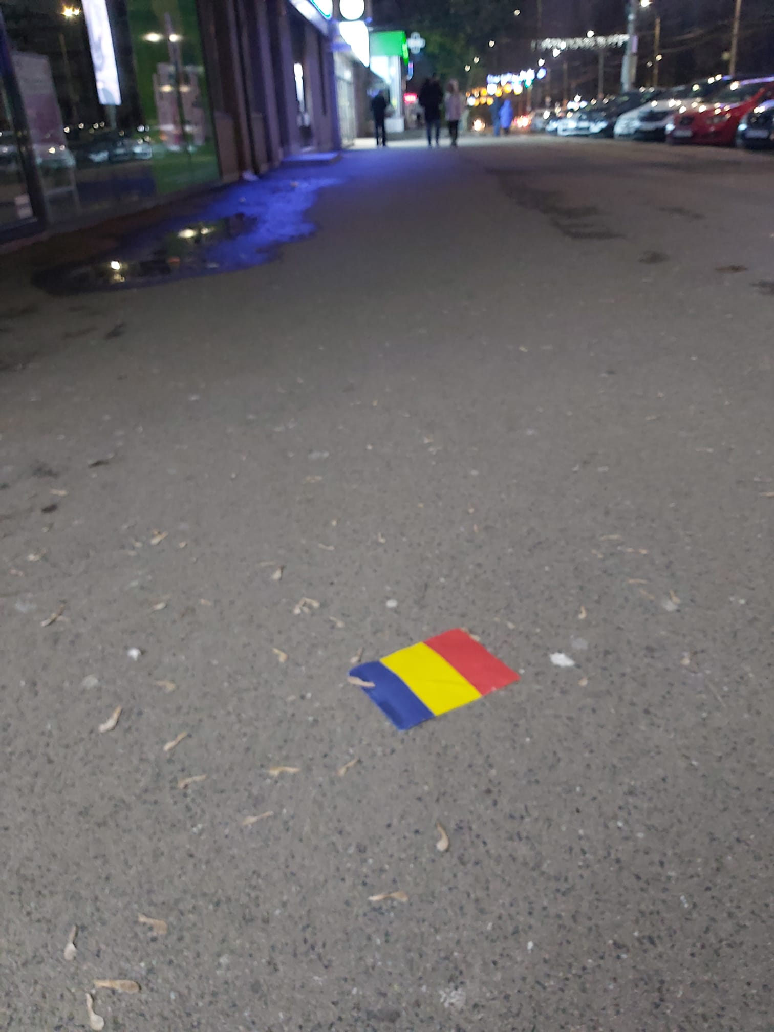 Poza zilei. Patriotism călcat în picioare