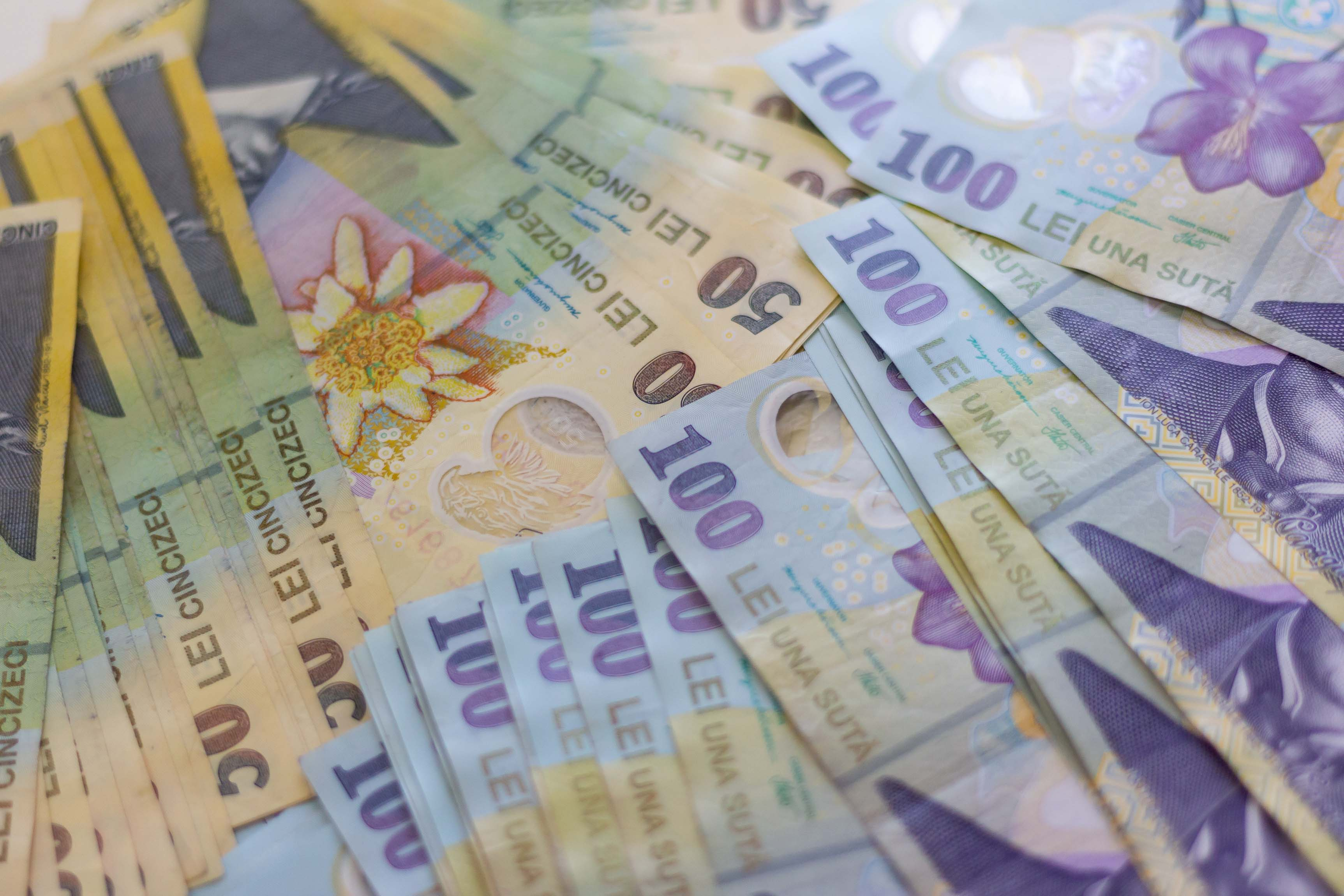 ANALIZĂ. Euro a crescut în iulie cu 0,6 bani