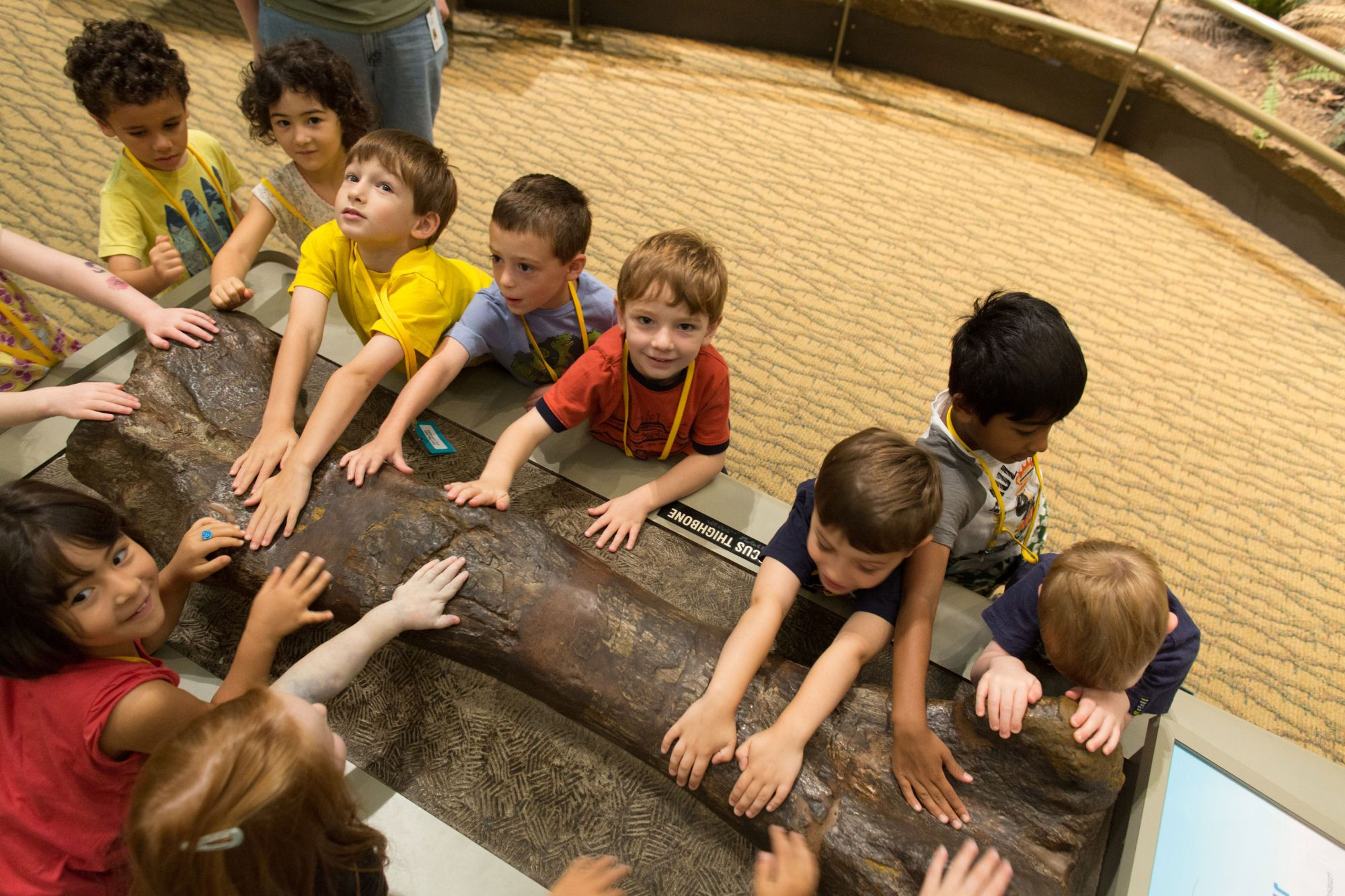 FESTIVAL de carte şi storytelling pentru copii, tineri şi părinţi