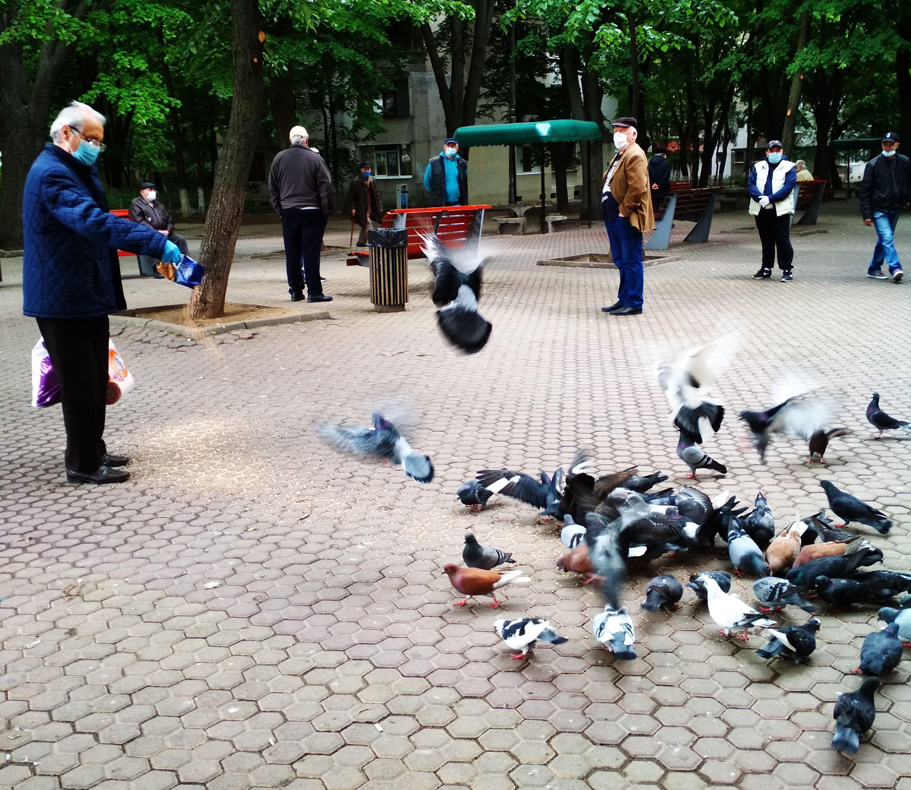 Socializare pe timp de ploaie şi pandemie (FOTO)