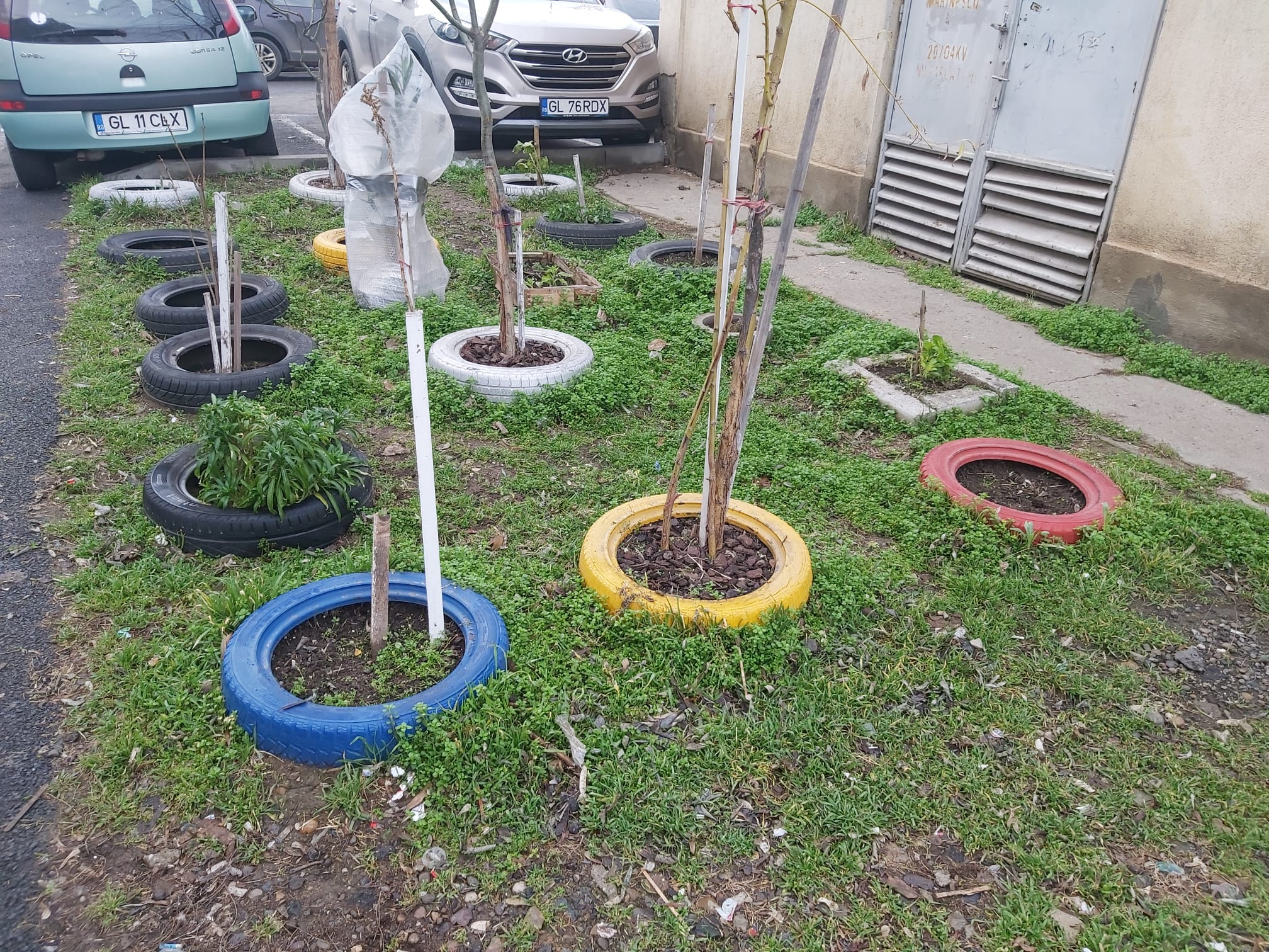 Poza zilei. Patriotismul din parcare