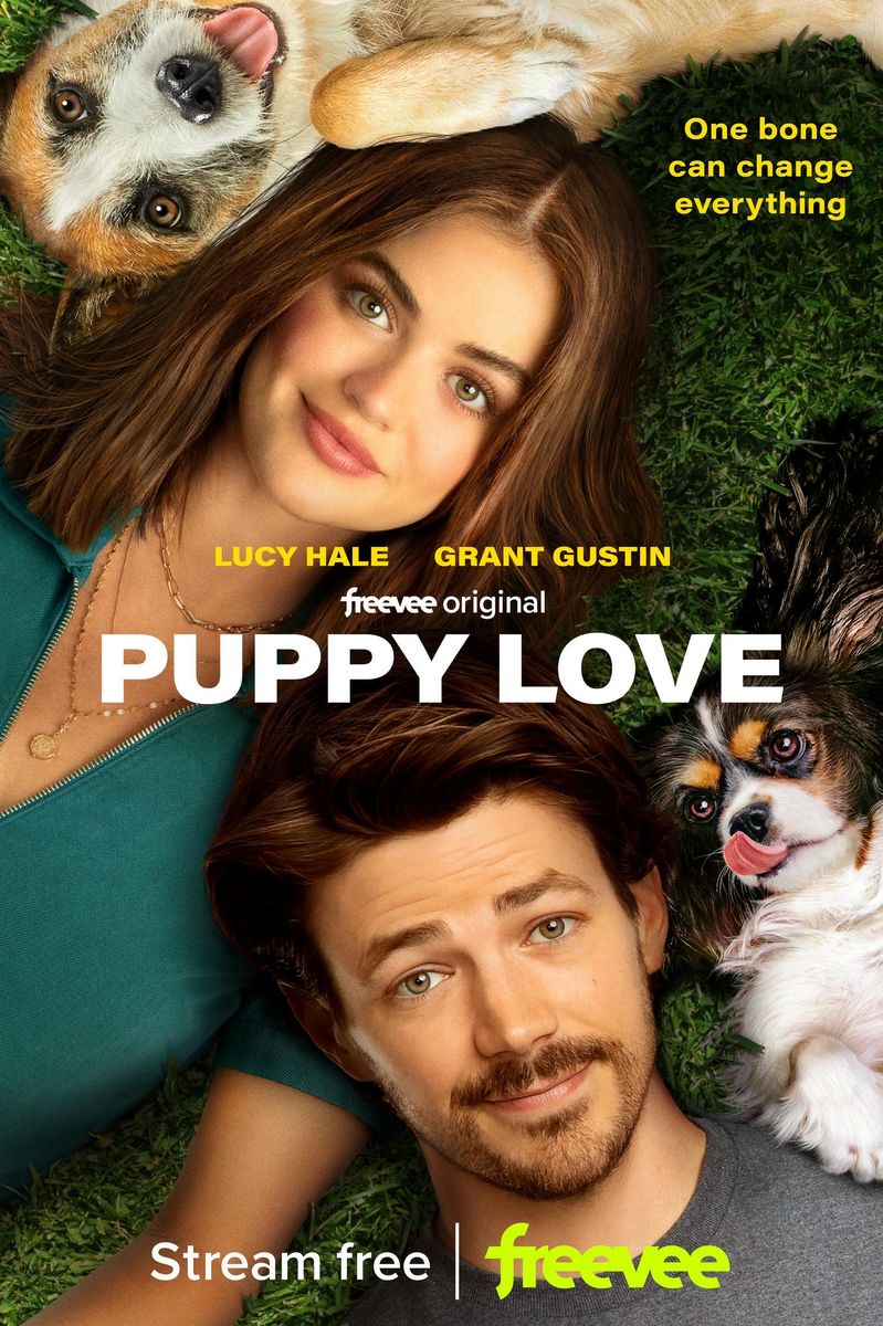 „Puppy Love” - filmul zilei la tv