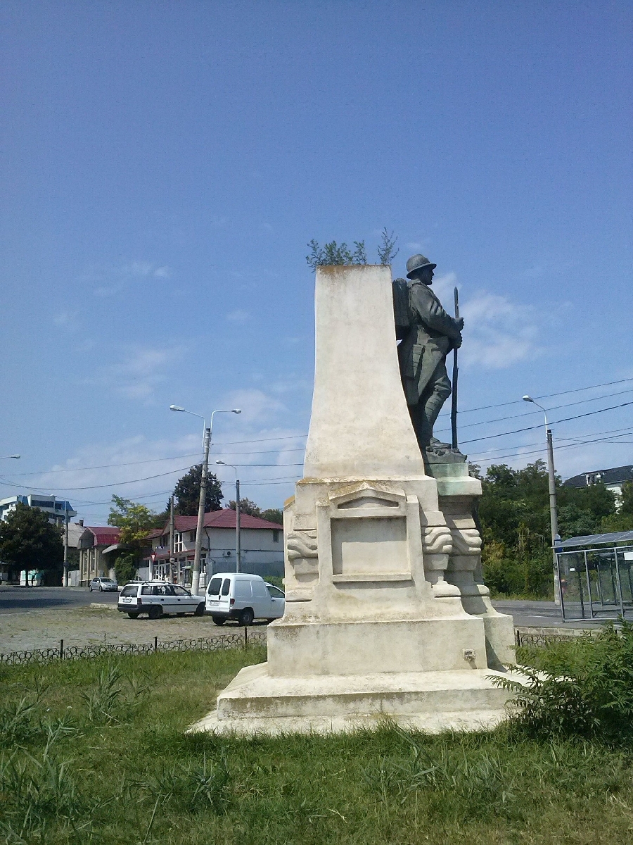 O jardinieră PĂZITĂ DE SOLDAT, ingeniozitatea naturii