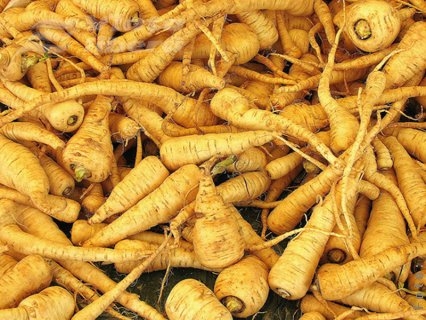 Contrabandist gălăţean de păstârnac