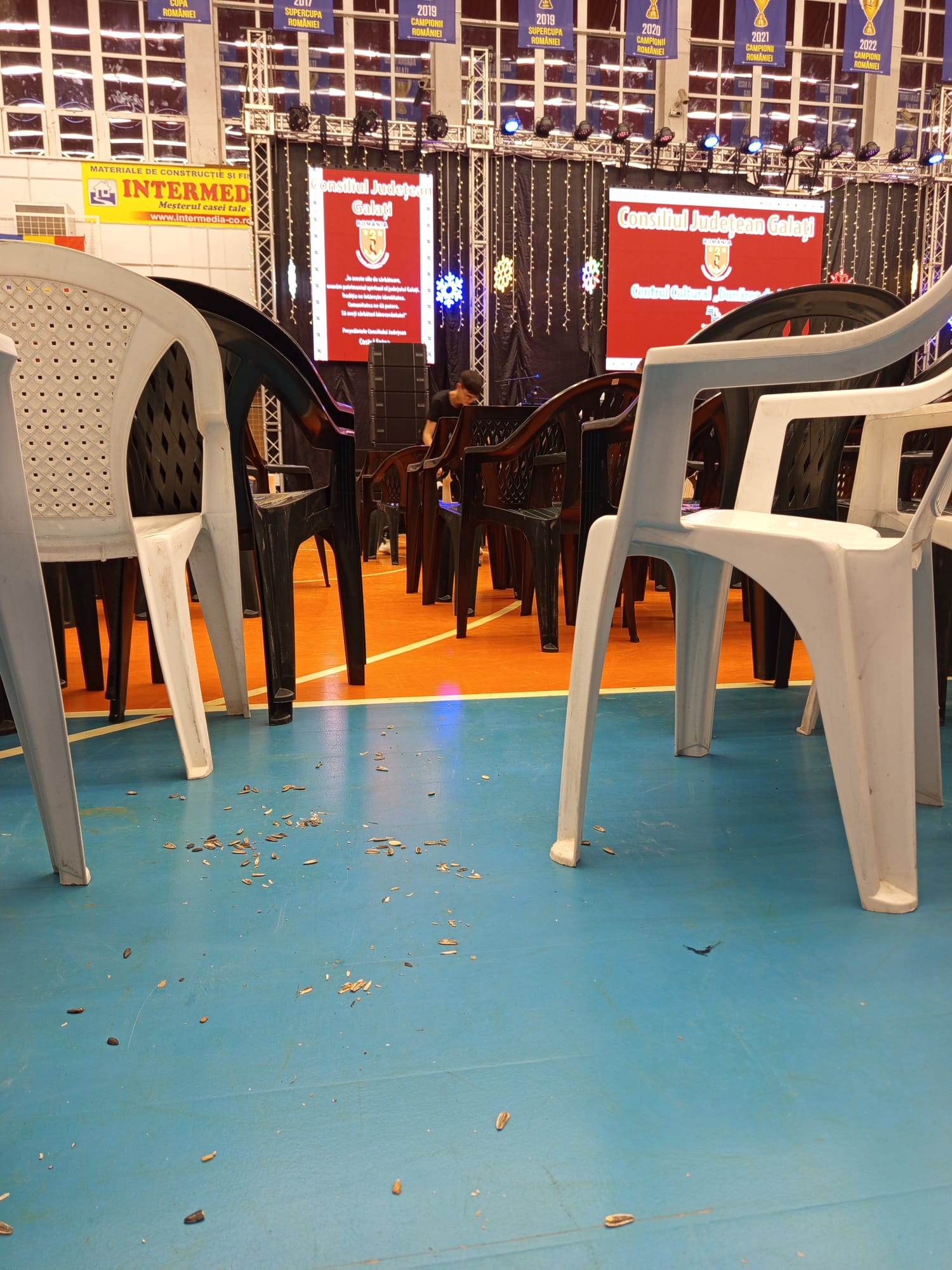 Poza zilei. Colinde, tradiții și… semințe