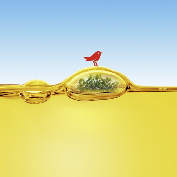 Magazinele ATAC Hiper Discount susțin comunitatea: uleiul alimentar uzat colectat de la clienți se transformă în biocombustibil