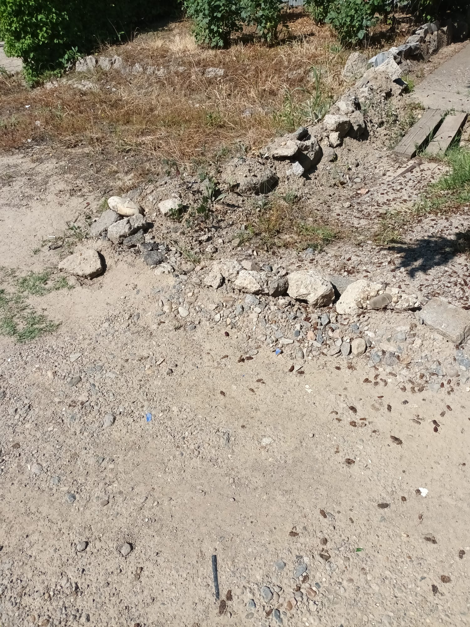 Digurile făcute de un vecin inundă curtea unui gălăţean şi îi distrug culturile (FOTO)