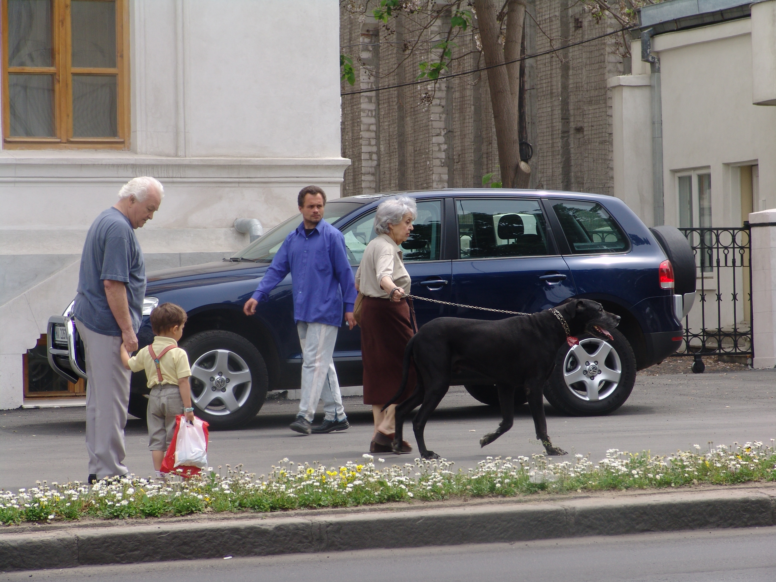 Legea punguliţa şi făraşul, nerespectată