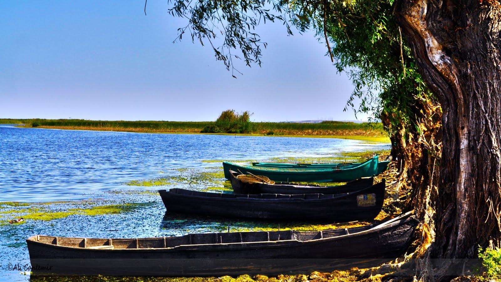 Undă verde pentru legea lui Șerban Nicolae. Afacerile de pe insule şi grinduri, scutite de impozite