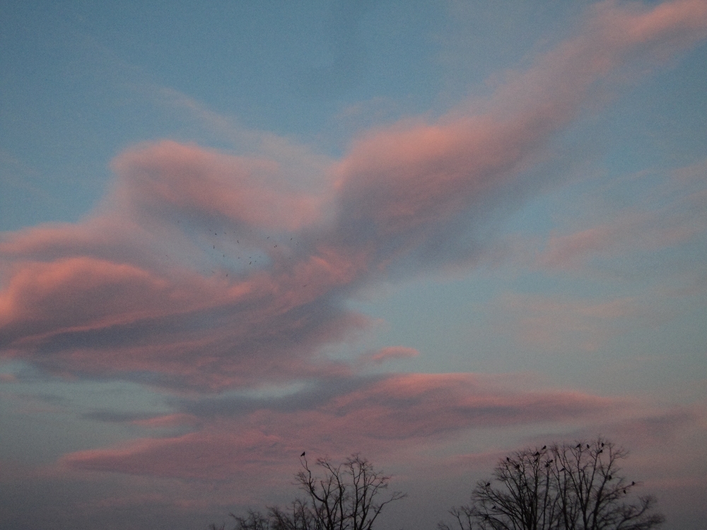 PROGNOZA METEO/ Cum va fi VREMEA vineri la GALAŢI