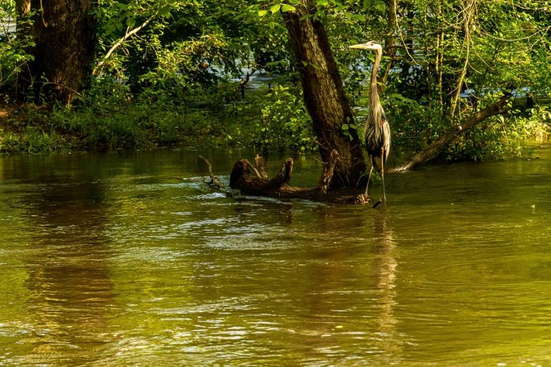 Cod galben de inundații, pe râuri din Moldova
