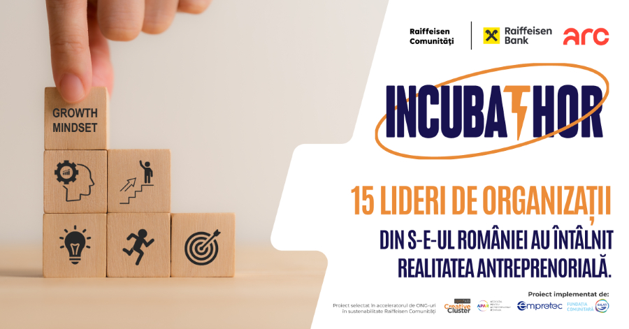 Mindset de ONG sau de antreprenor?